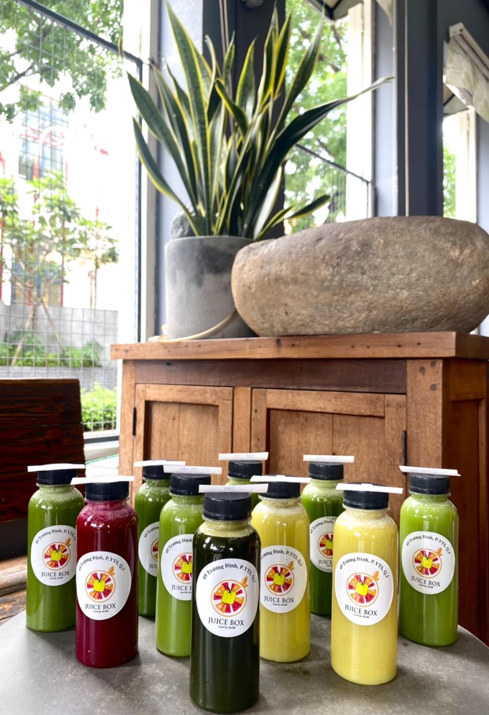 Juice Box - Tôn Dật Tiên
