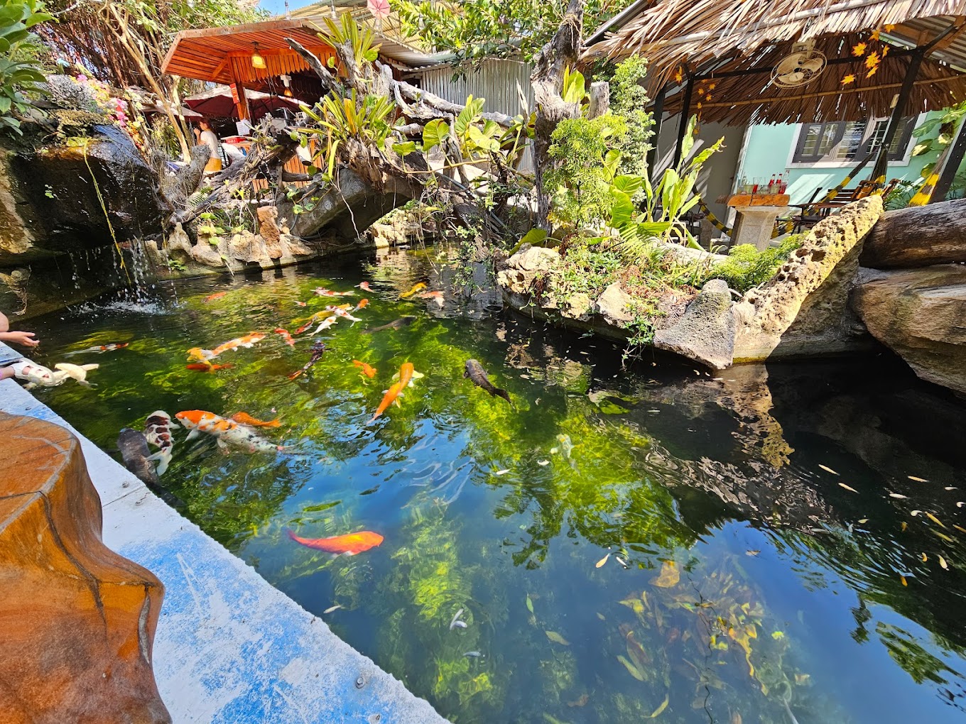 Mộc Coffee Koi Phú Quốc - Gành Dầu