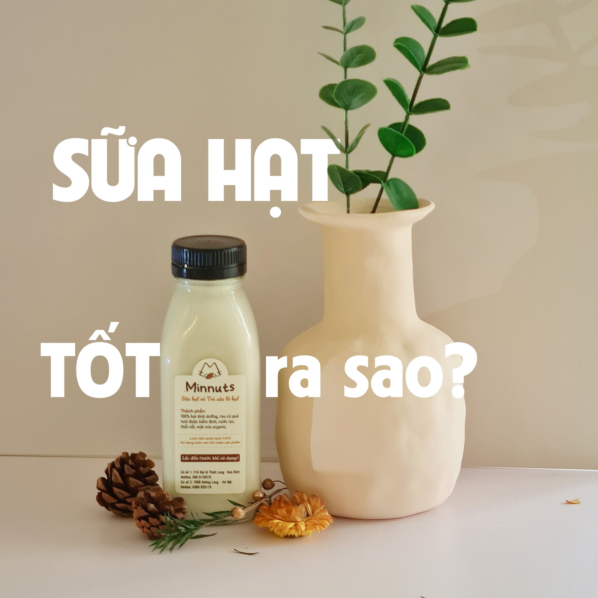 Story oa 2