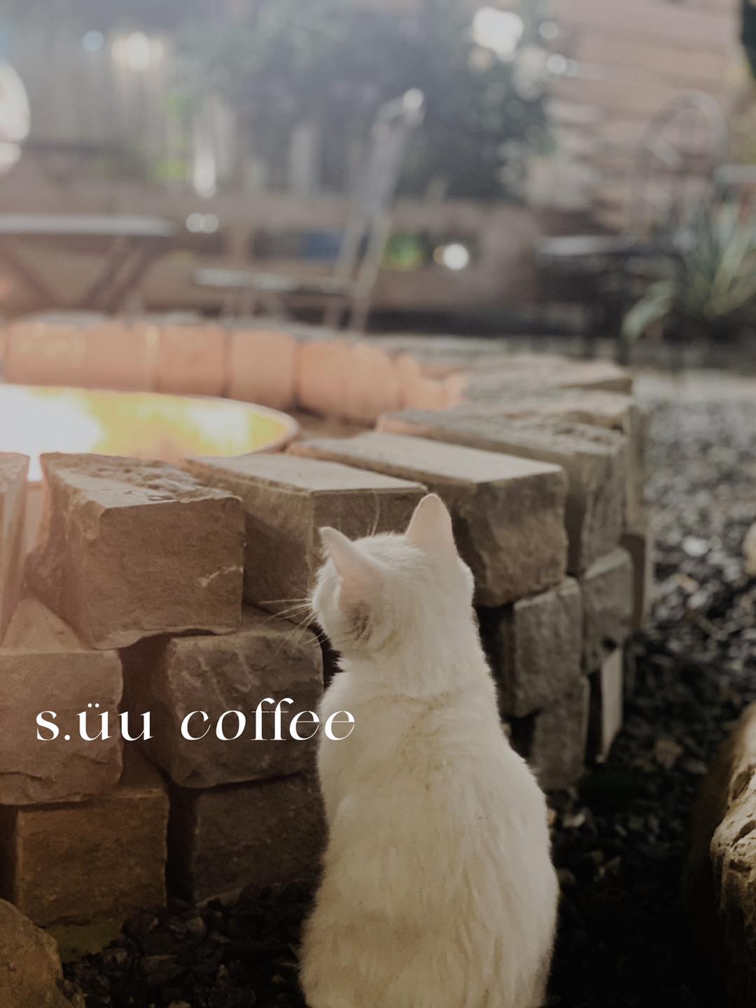 Story oa 3