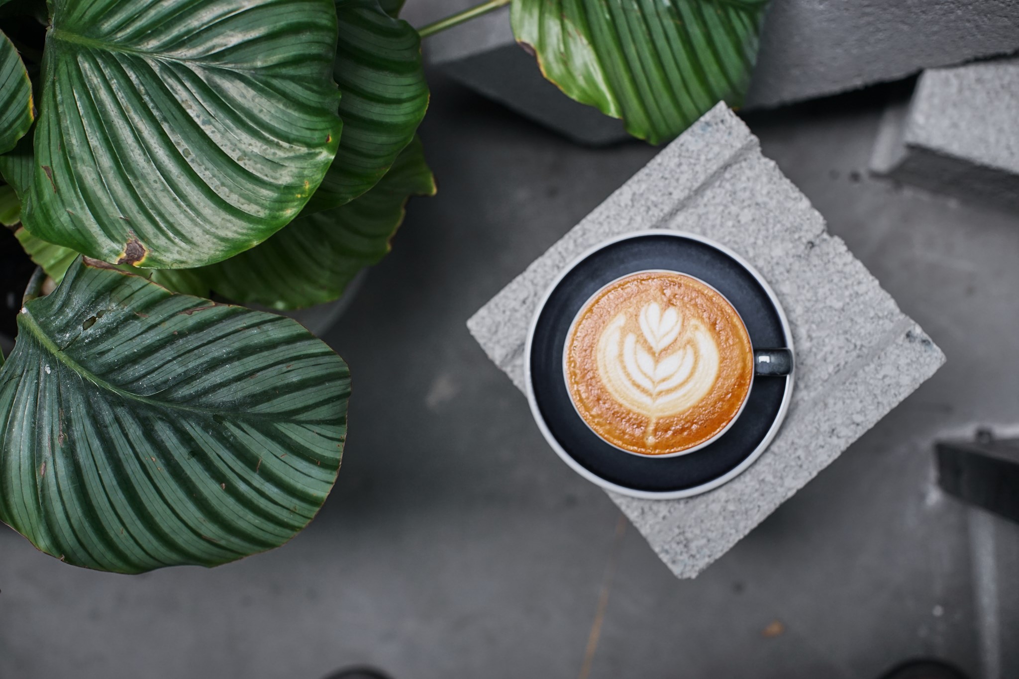 Intenso Roastery - Ngô Gia Tự