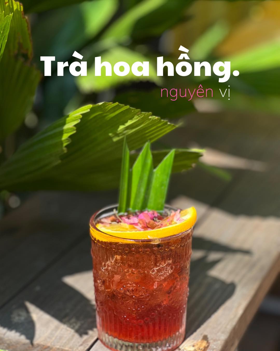 Trà Sữa Homies - Hồ Bá Phấn