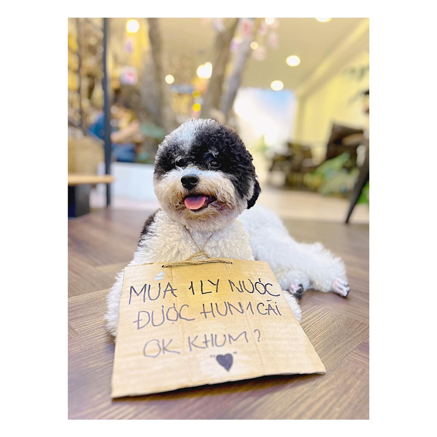 Tiệm Cà Phê Út - Hiền Vương