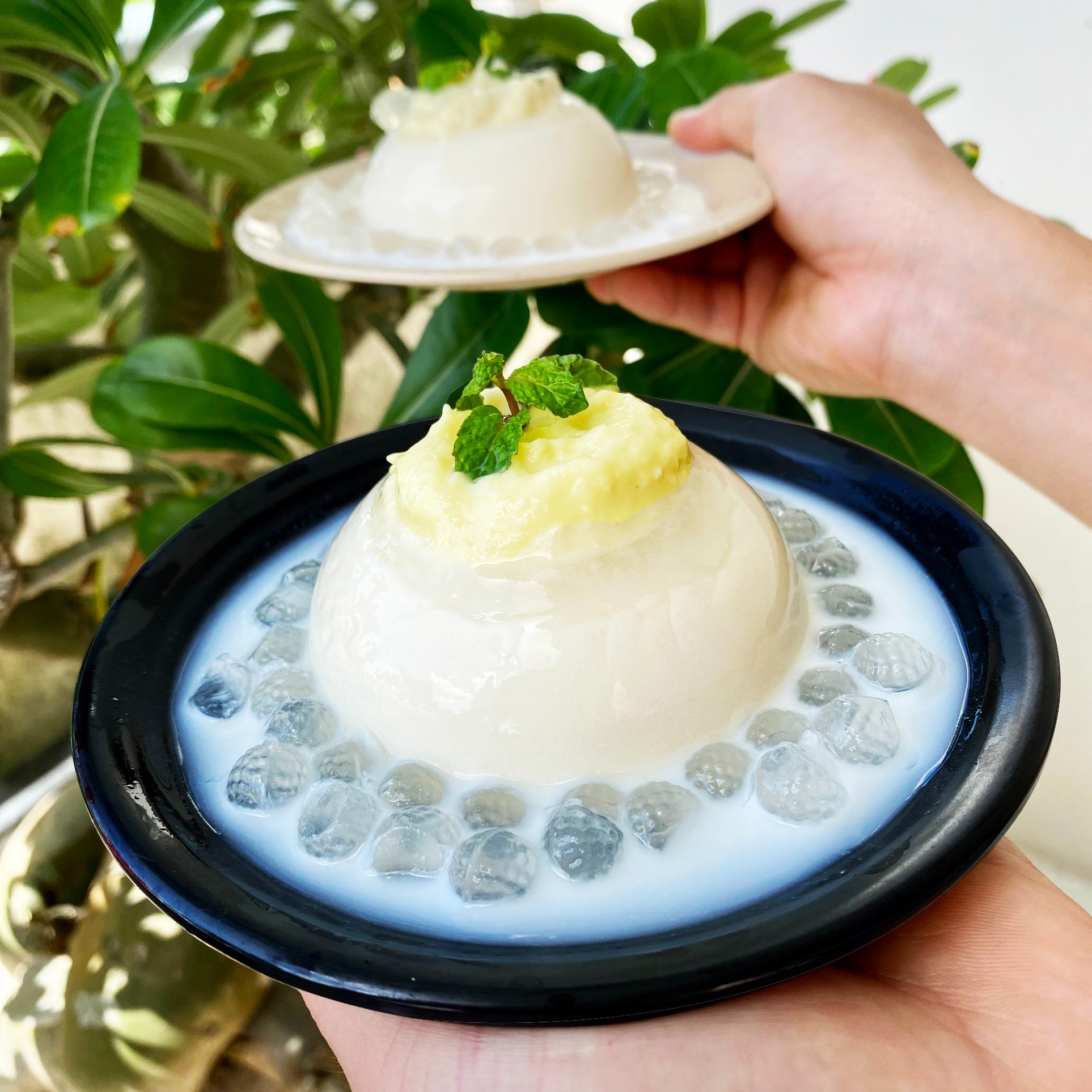 Tàu Hũ Singapore Yummy - Dũng Sĩ Thanh Khê