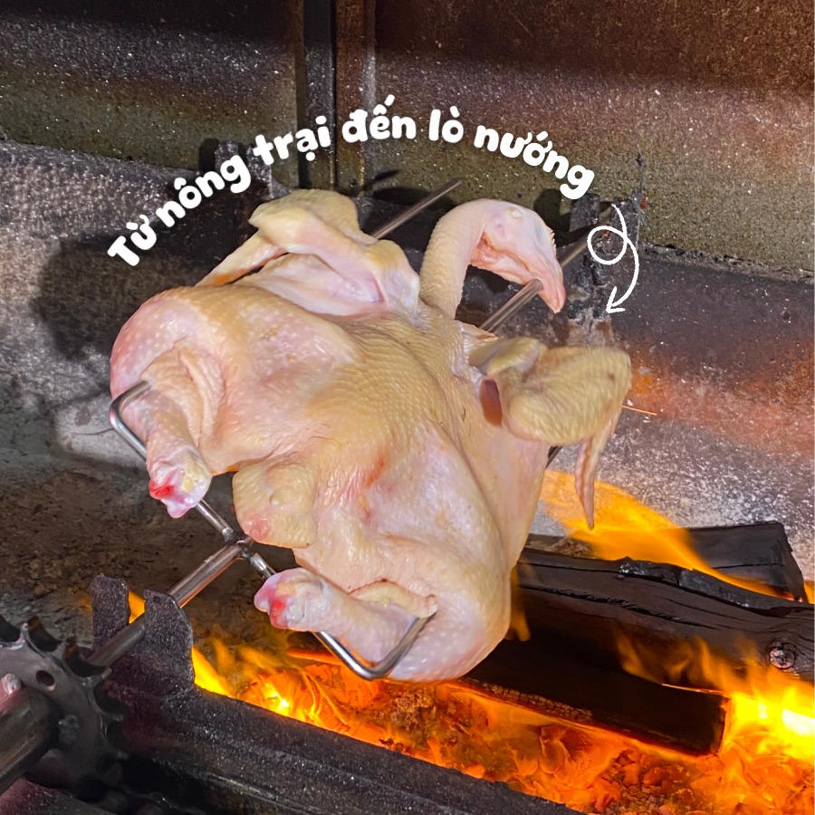 Story oa 2