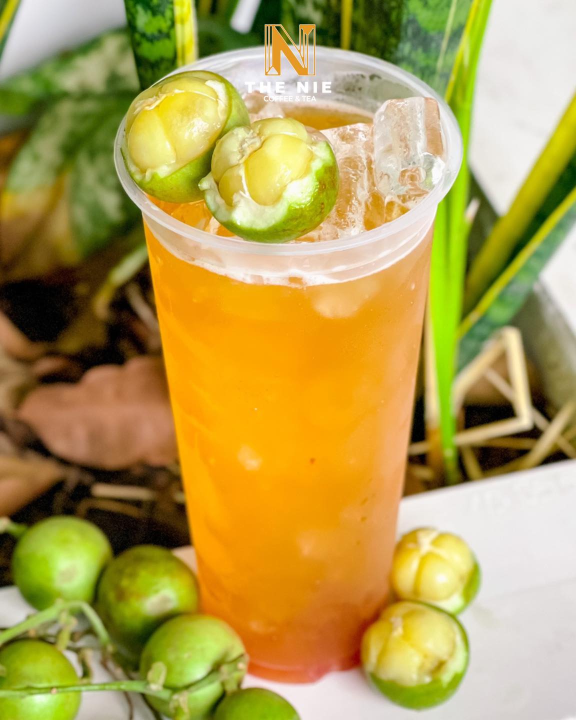 Tiệm Trà Nhà Ry - Trần Hưng Đạo