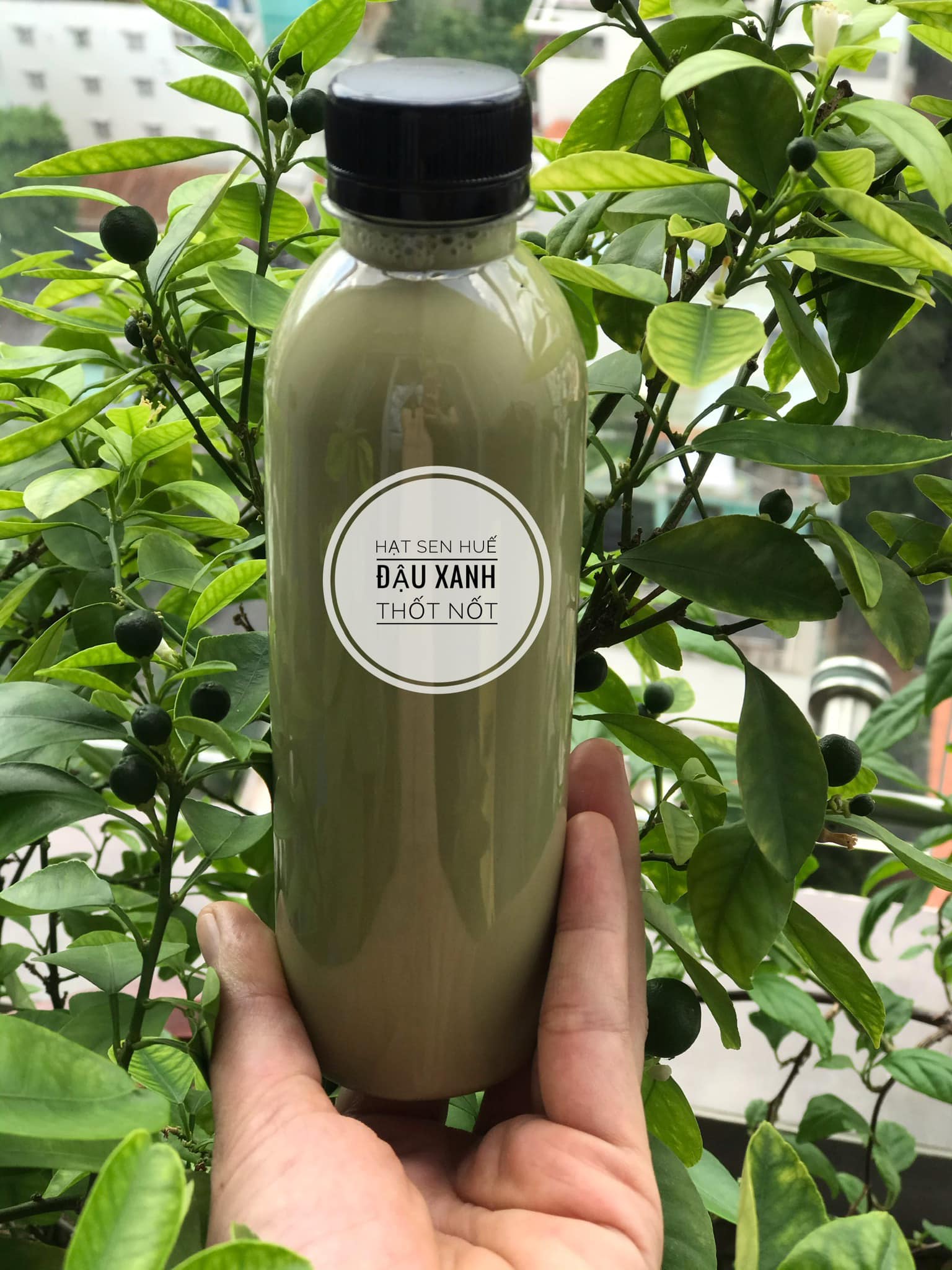 Phi Phii Ngon Mê Ly - Lê Thị Bạch Cát