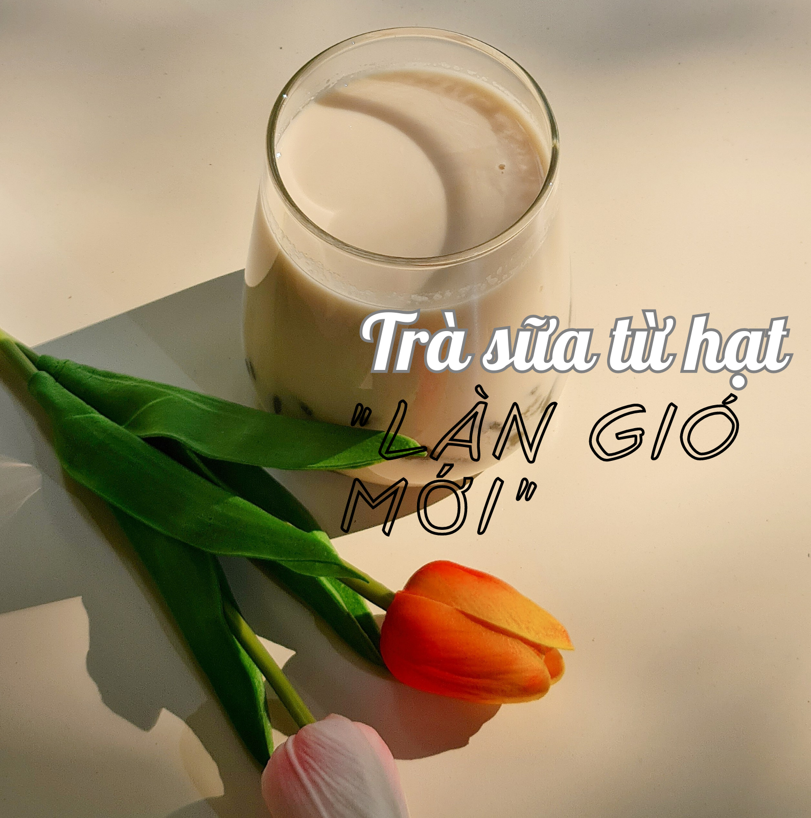 Story oa 0