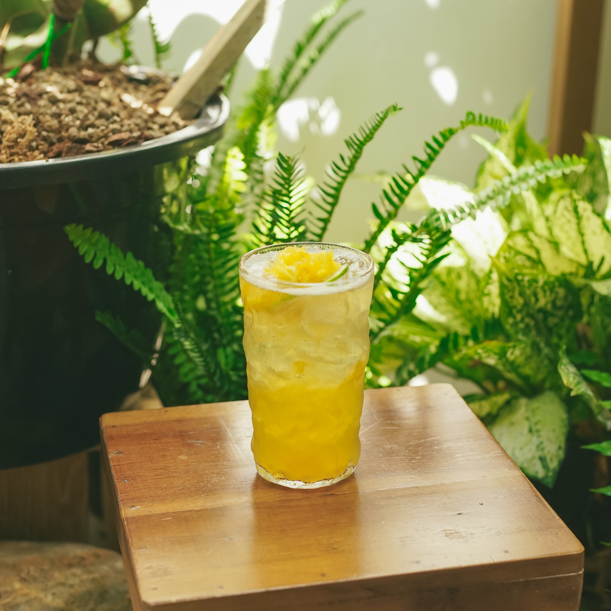 ÔLê Coffee & Beer - Phạm Văn Đồng