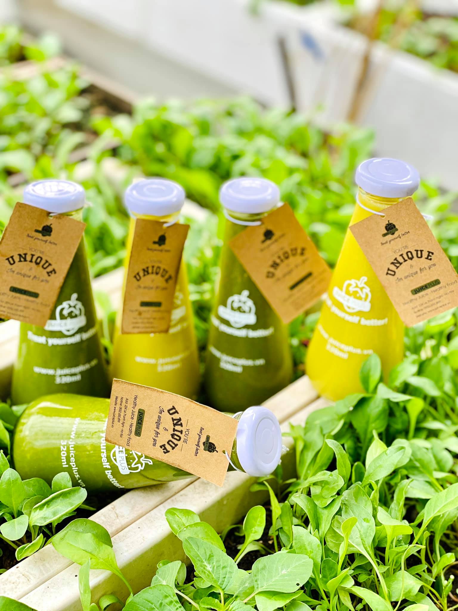 Juice Plus - Healthy Juice & Healthy Food - Lê Thanh Nghị