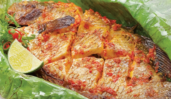 Cá Cam Nướng Muối Ớt - Huỳnh Tấn Phát
