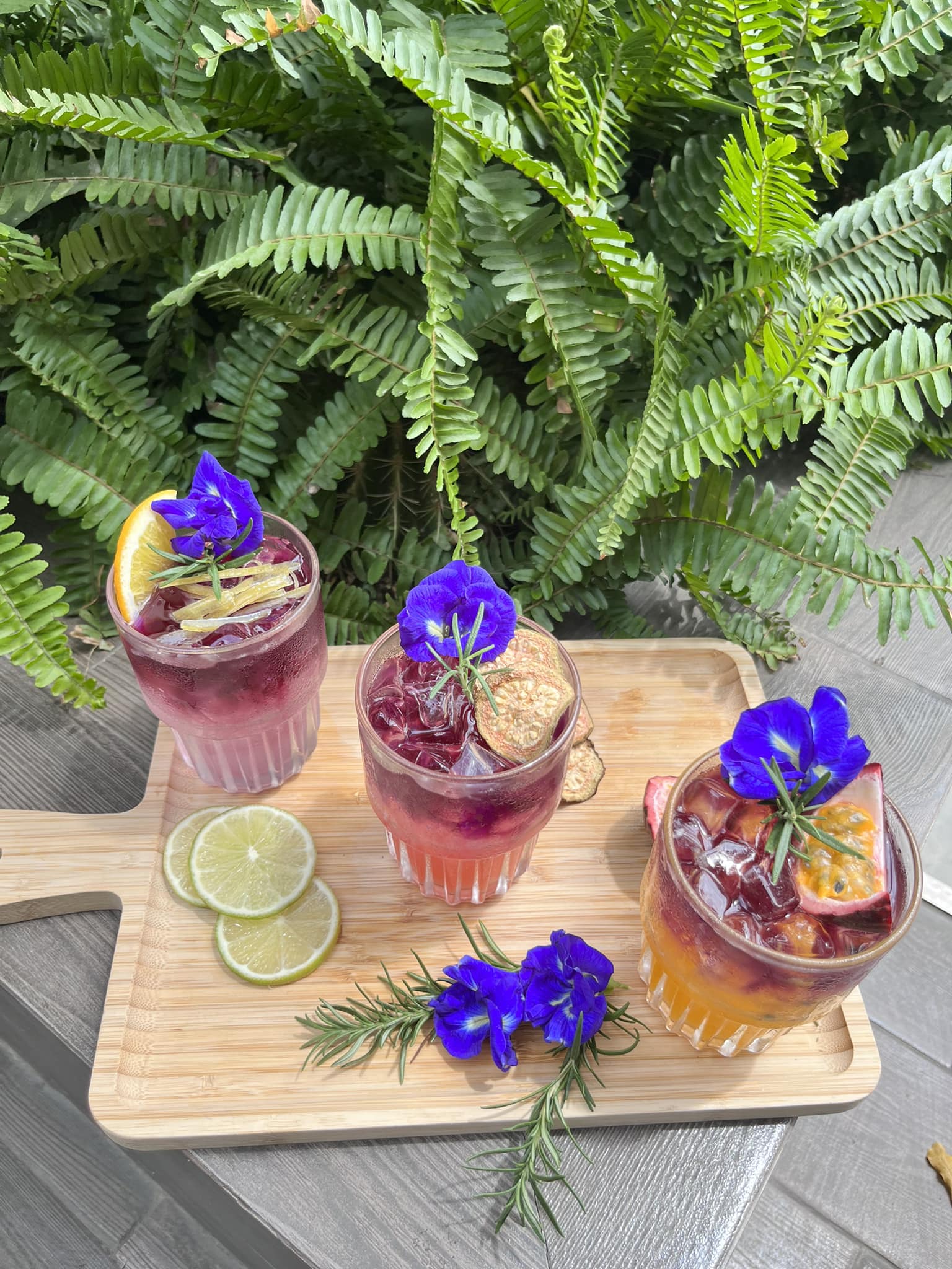 Cà phê 5°F - Phan Rang - Trần Quang Diệu