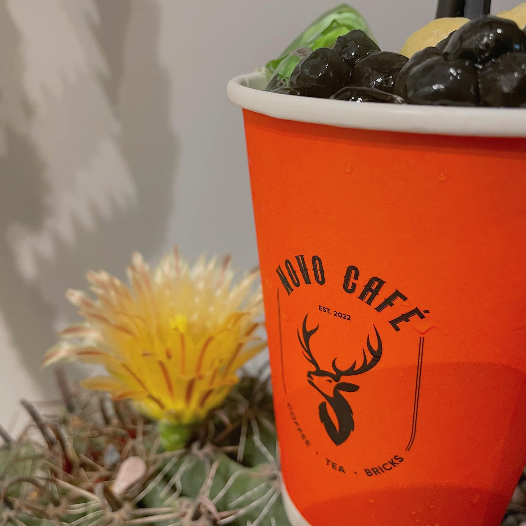 Novo Café - Coffee & Tea & Bricks - Đường 3 Tháng 2