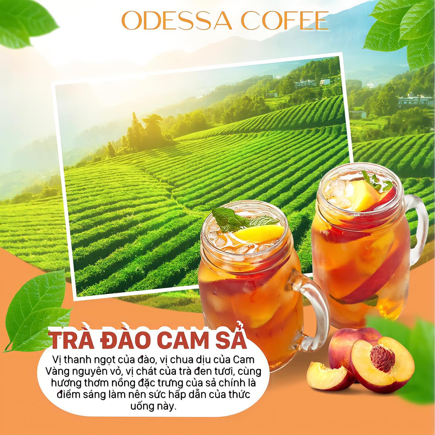 Story oa 10