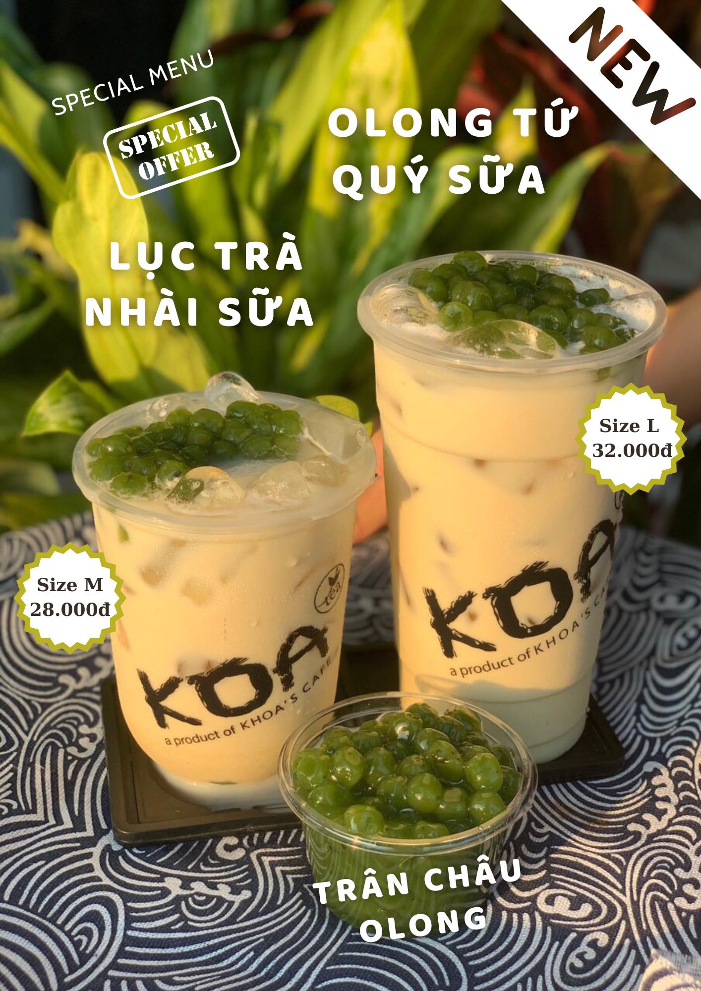 Story oa 8