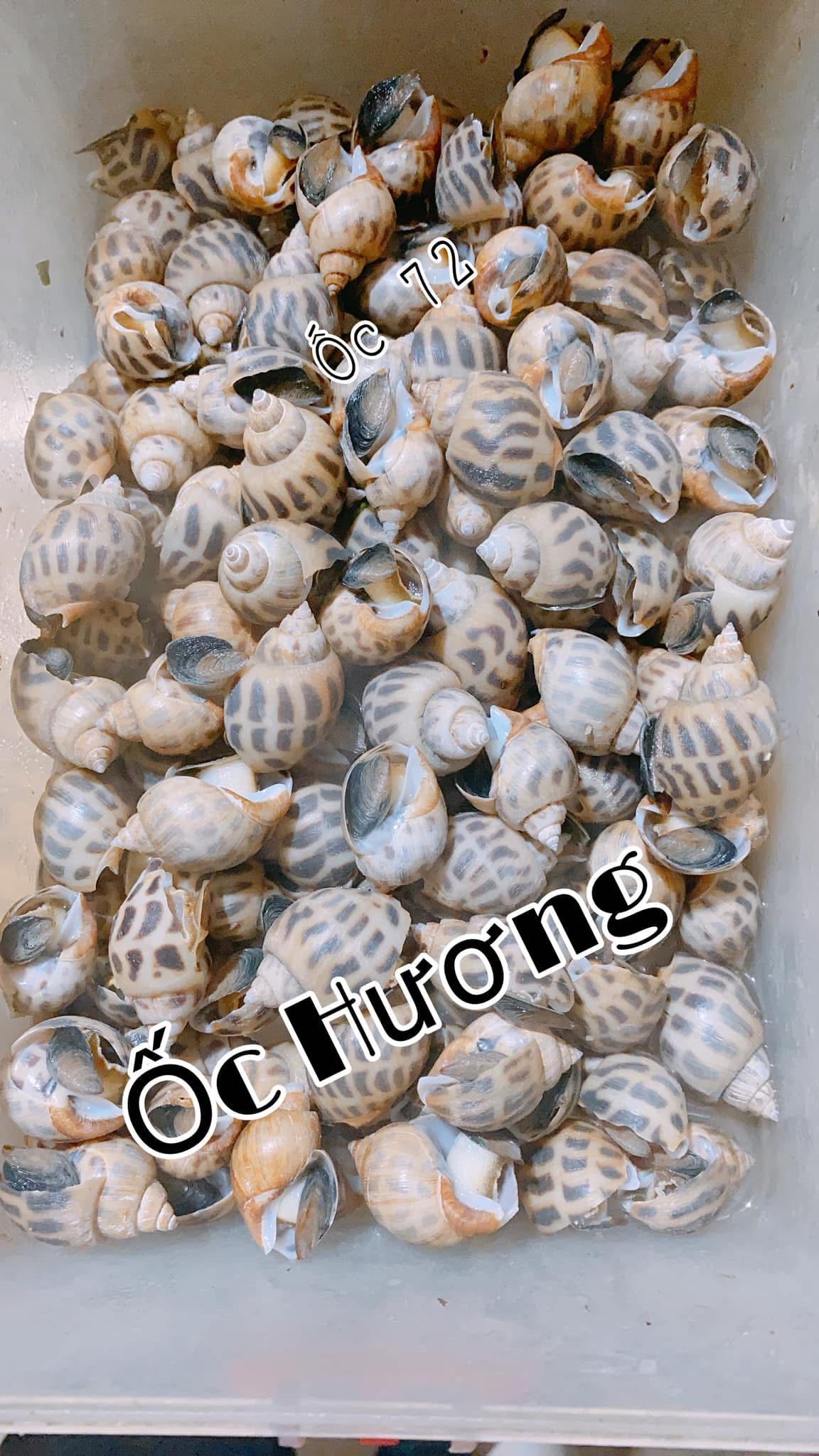 Story oa 3