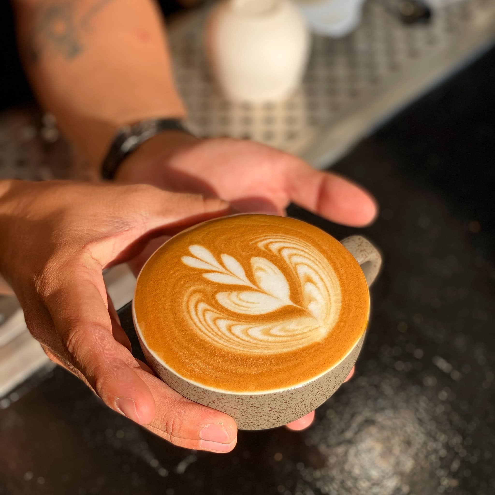 Ollin Café - Phạm Ngọc Thạch