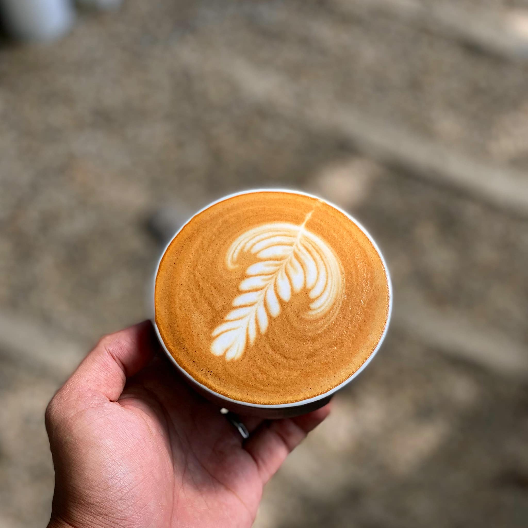 Ollin Café - Phạm Ngọc Thạch