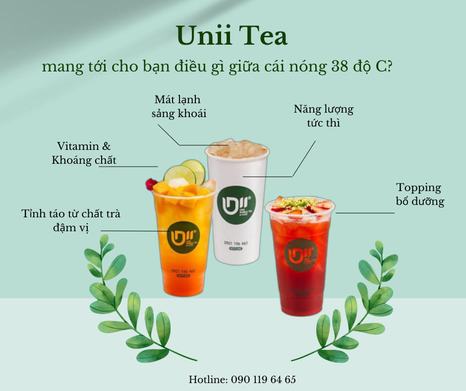 Story oa 2