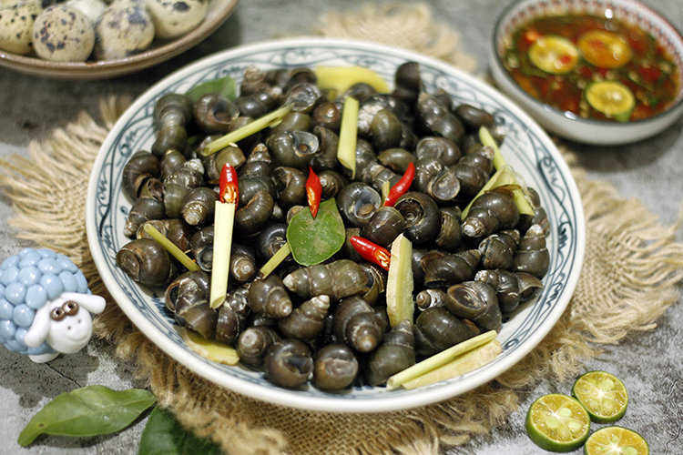 Ốc Tuyết Quán - Trần Văn Hoài