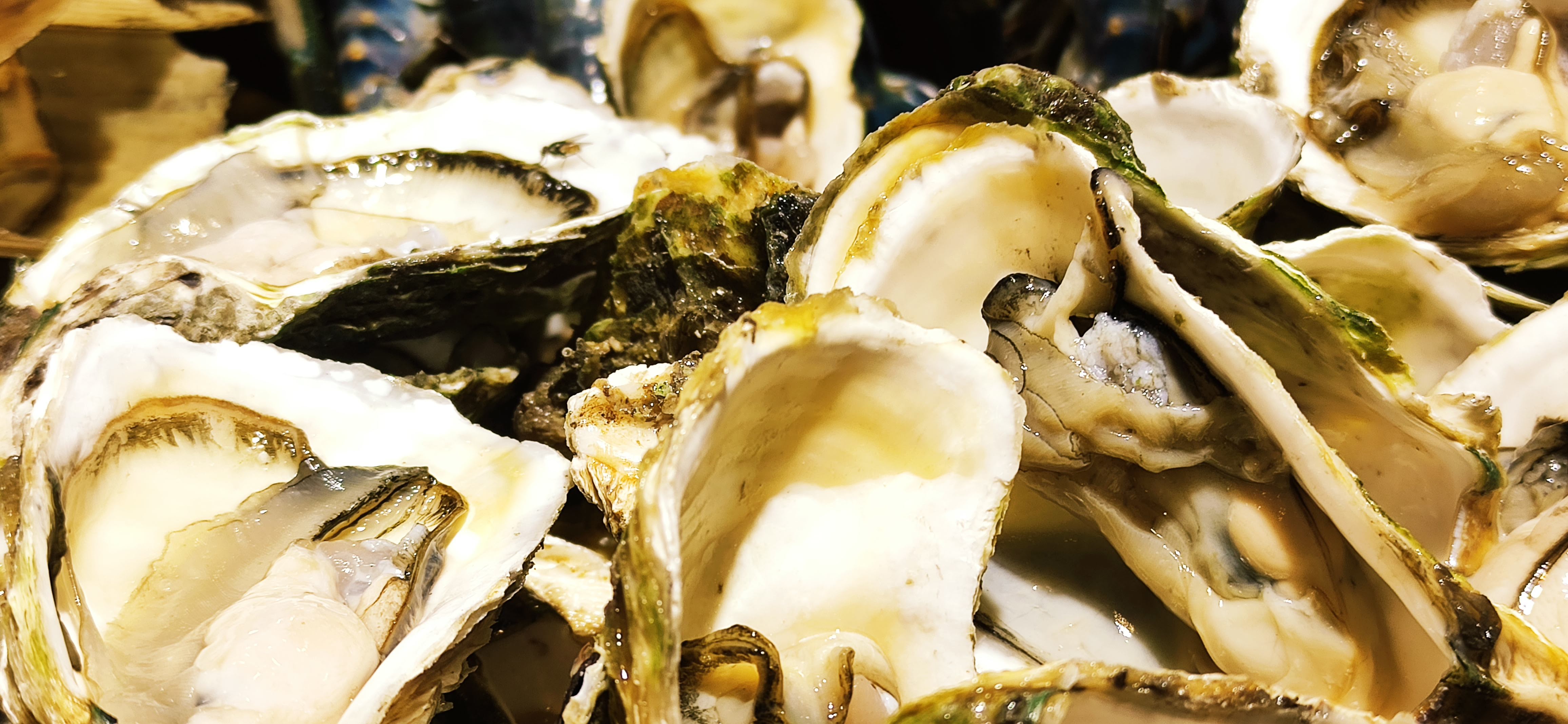 Nhà Hàng Những Chàng Trai - Phan Huy Ích