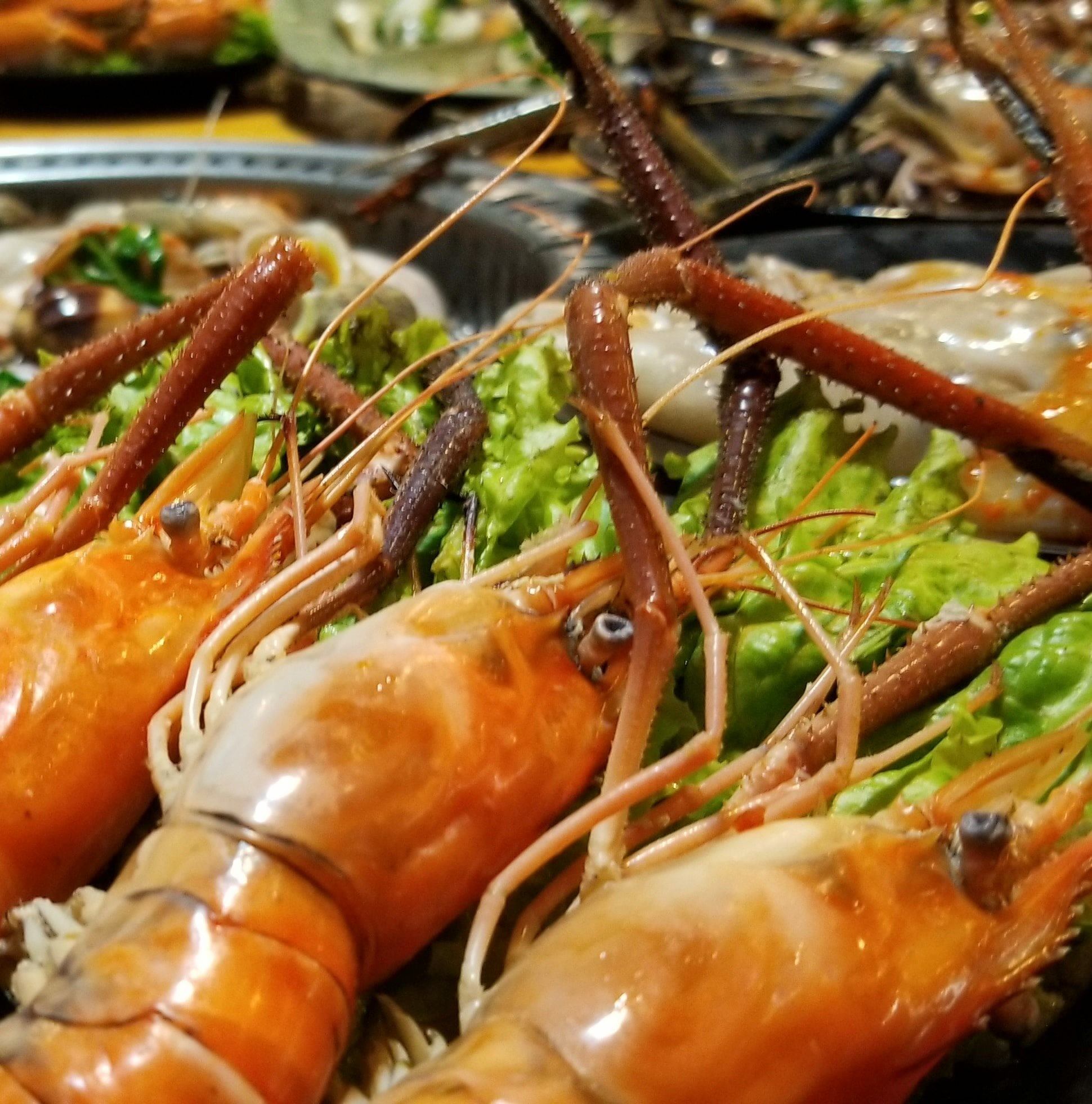 Nhà Hàng Những Chàng Trai - Phan Huy Ích