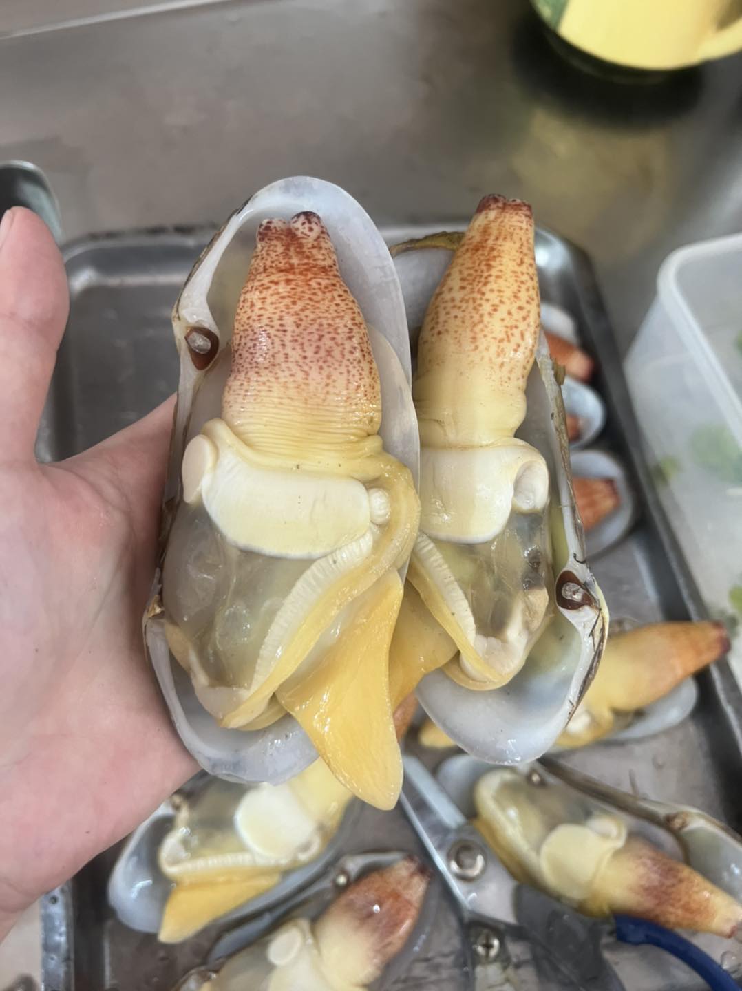 Ghẹ Hấp Bà Nga Béo - Hàng Giầy (Tới cua ghẹ)