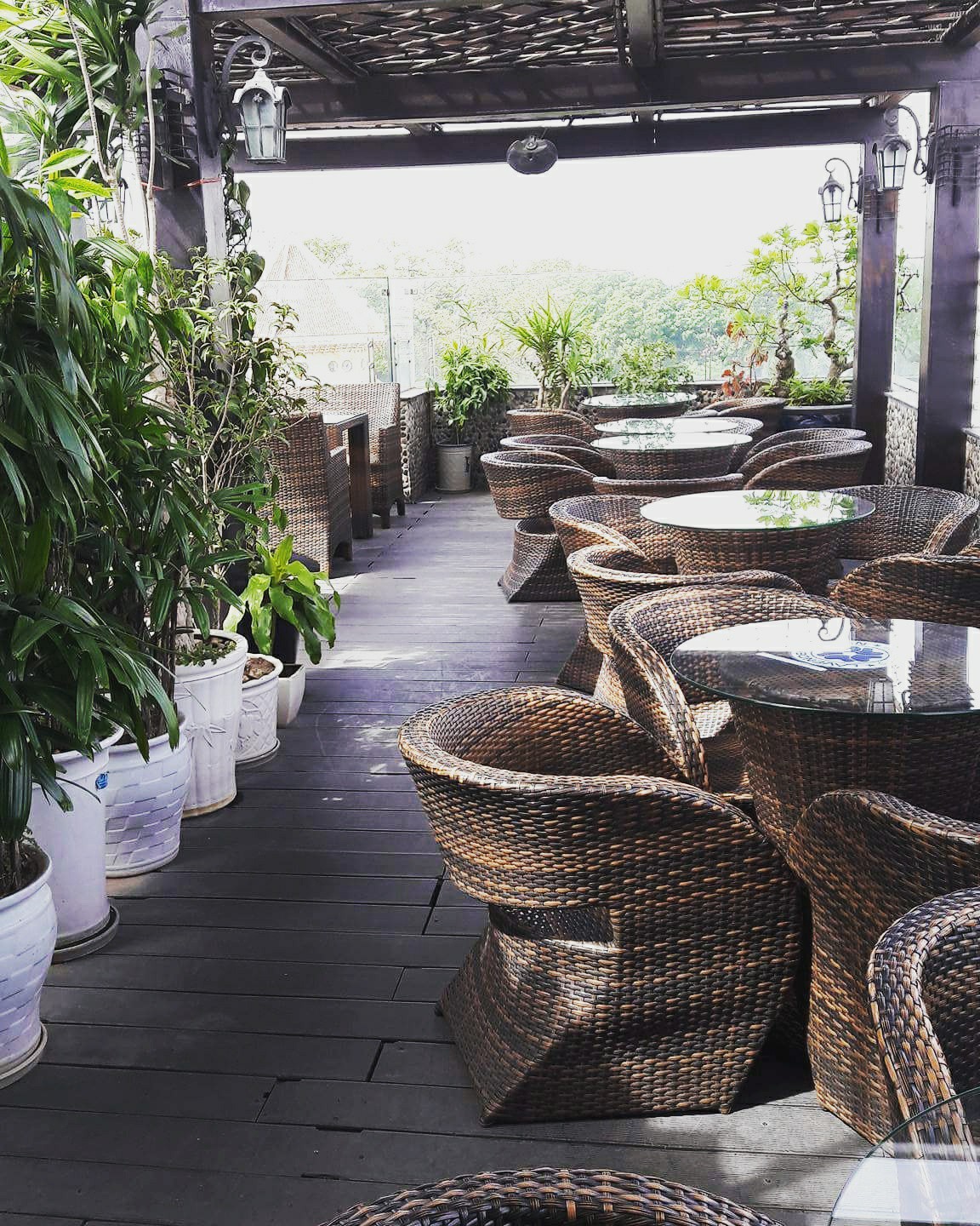 Lavender Garden Bar - Cầu Đất