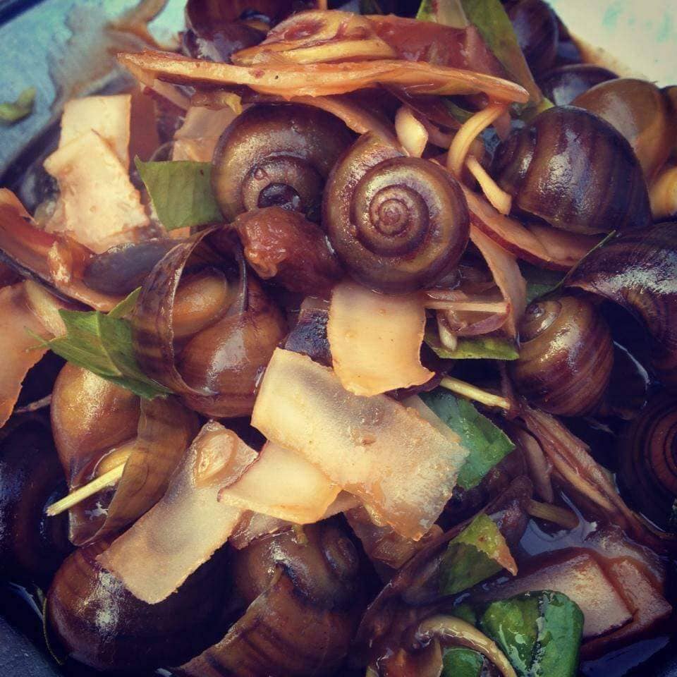 Ốc Cô Toàn - Quang Trung