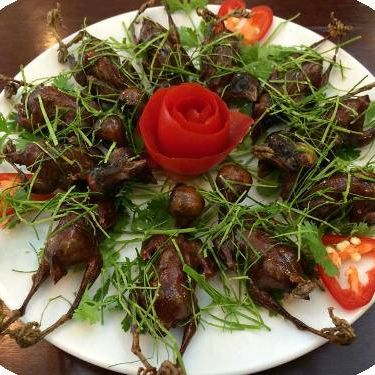 Quán ăn Chim Chỉ - Lạc Long Quân