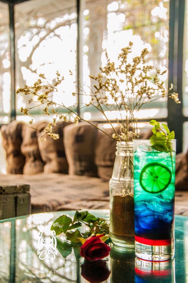 Hippo Cafe - Phó Đức Chính