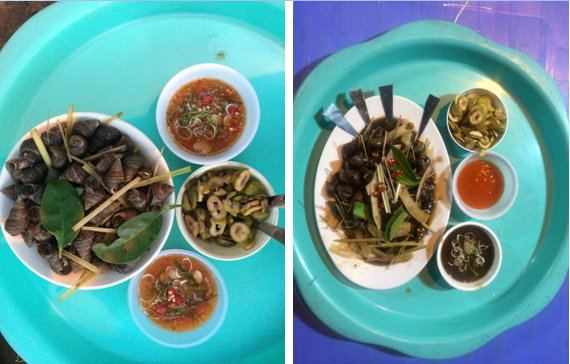 Anh Đào - Triều Khúc